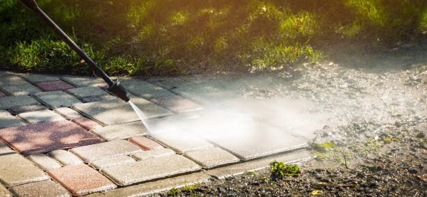 Best Sidewalk and Walkway Cleaning  in Chelsea, MI