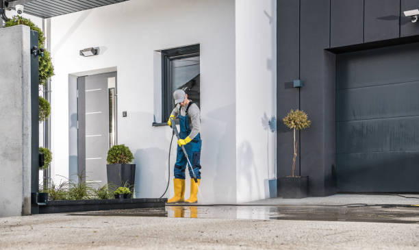 Best Gutter Cleaning  in Chelsea, MI